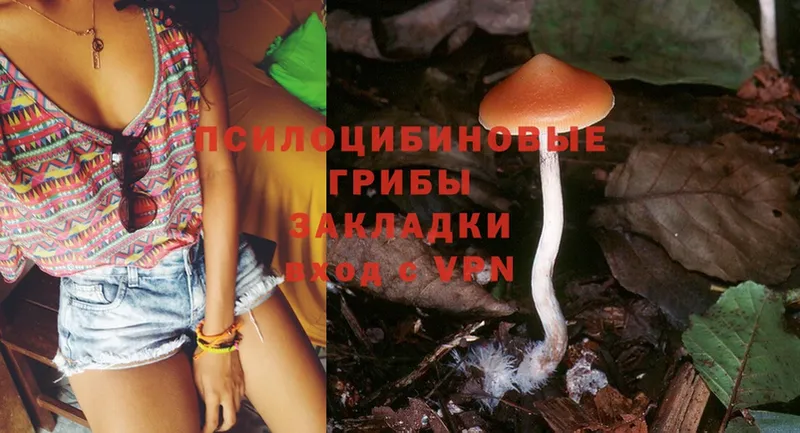 blacksprut зеркало  Баксан  Галлюциногенные грибы MAGIC MUSHROOMS 